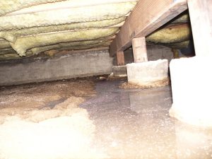 Stonebridge crawl drainage remodel