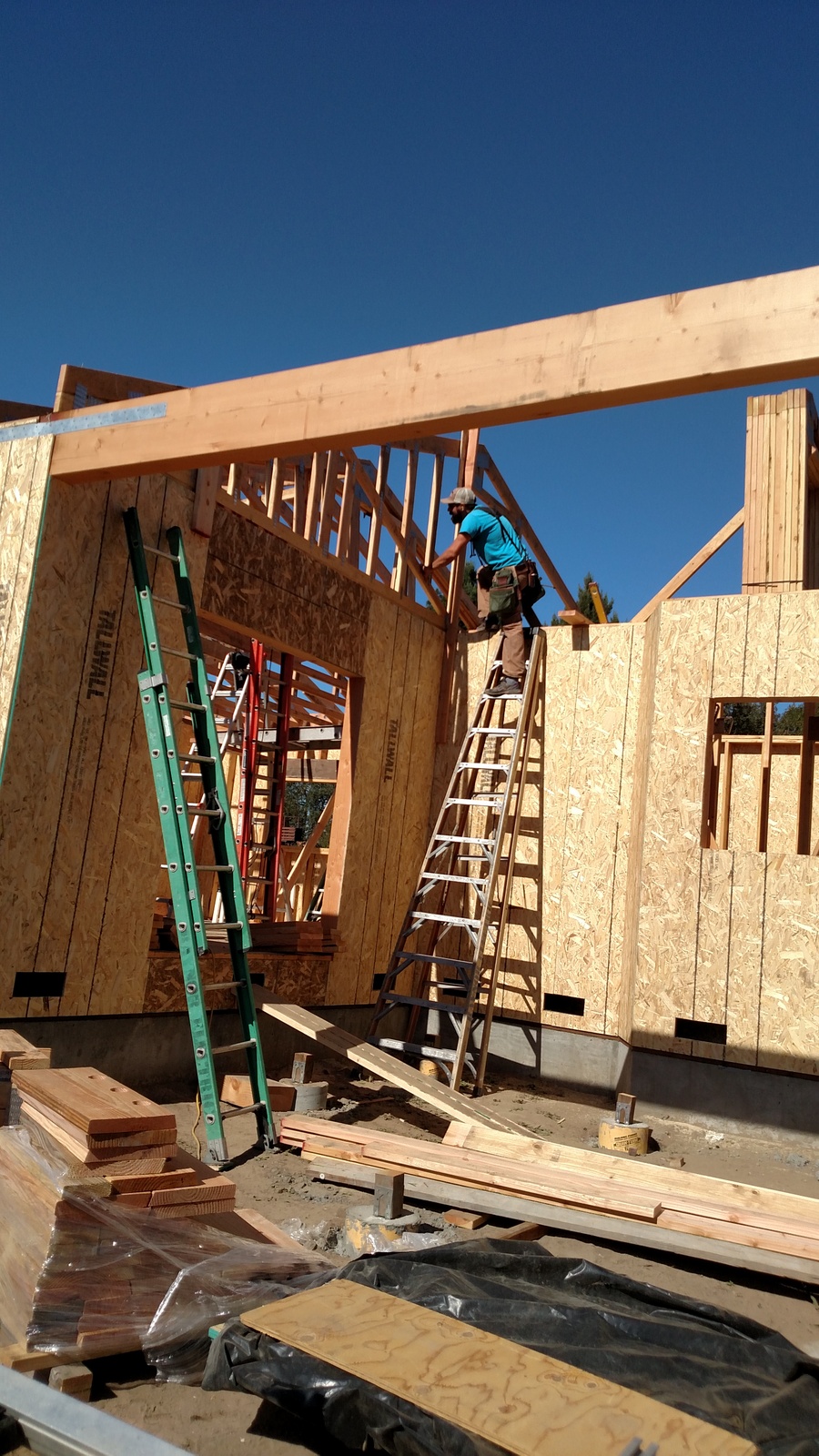 New home - roof trusses