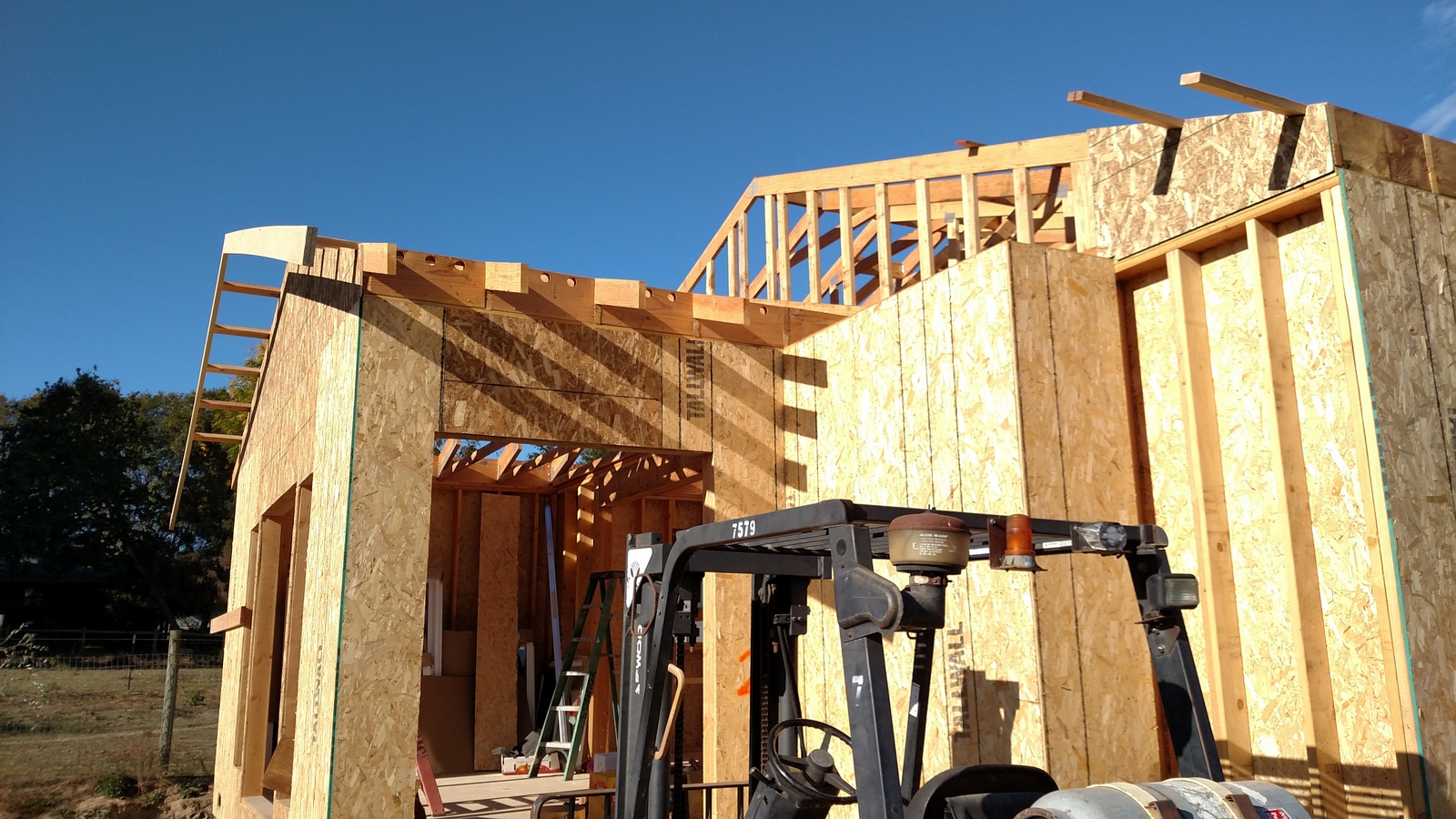 New home - roof trusses