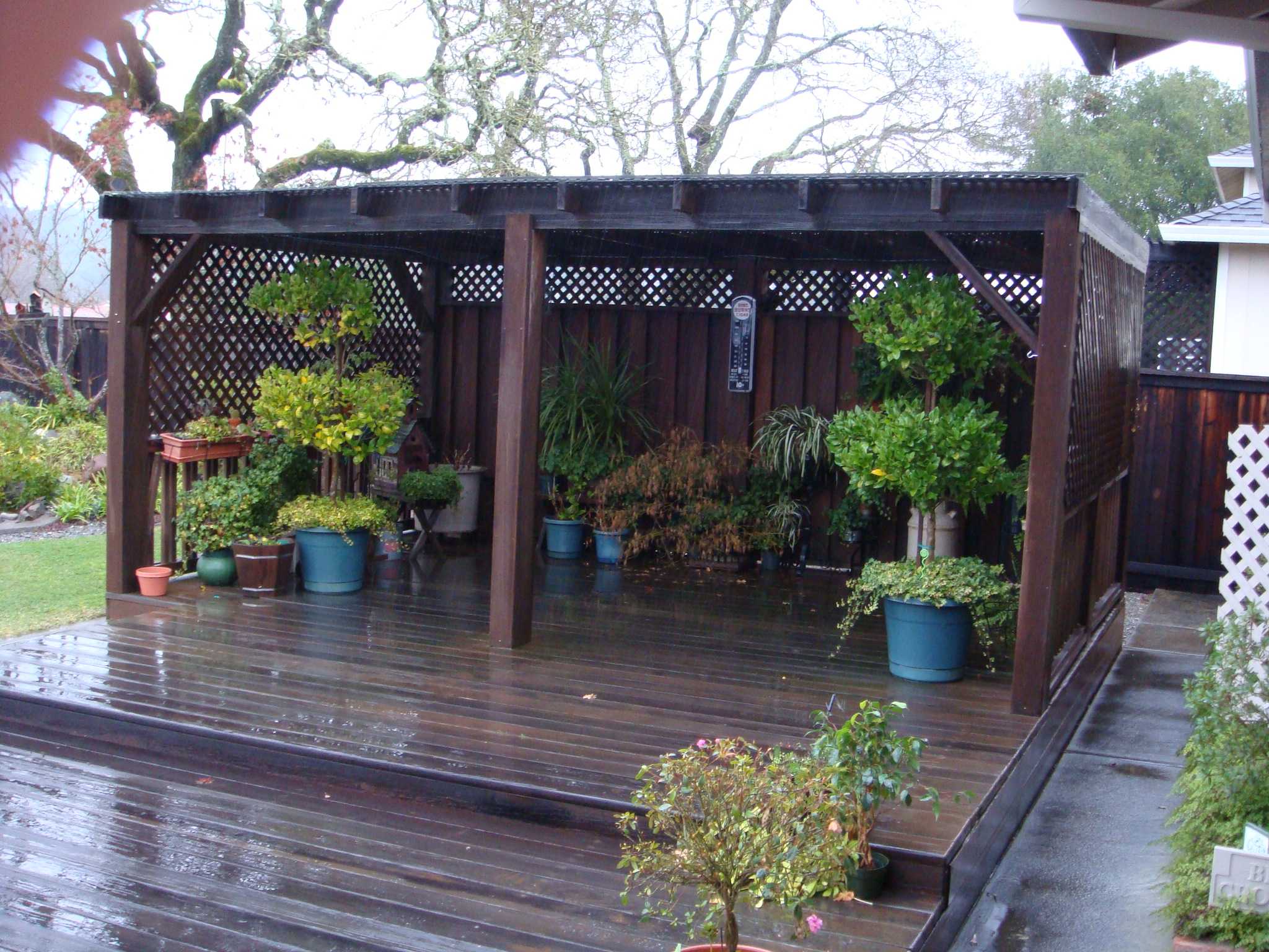 Deck & Pergola- BEFORE